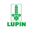 Lupin